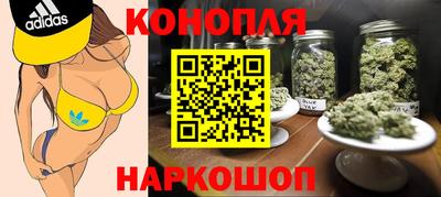 гашик Бийск