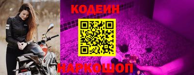 стаф Берёзовский