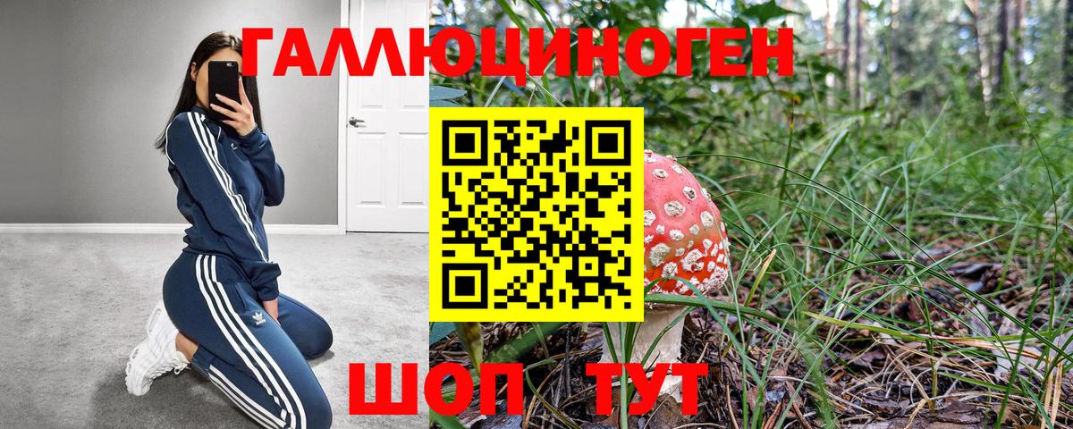 Псилоцибиновые грибы ЛСД Долгопрудный
